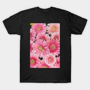 Pink Gerberas T-Shirt